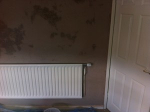 a1 property services plastering